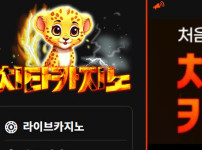 치타카지노 토토사이트 먹튀검증가이드