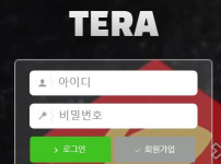 테라 토토사이트 먹튀검증가이드